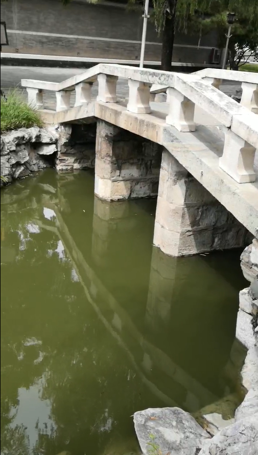8.园桥